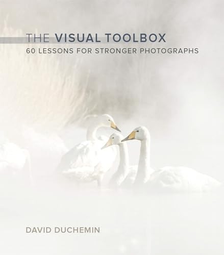 Voices That Matter Ser.: Visual Toolbox : 60 Lessons for Stronger Photographs by David duChemin (2015, Trade Paperback)