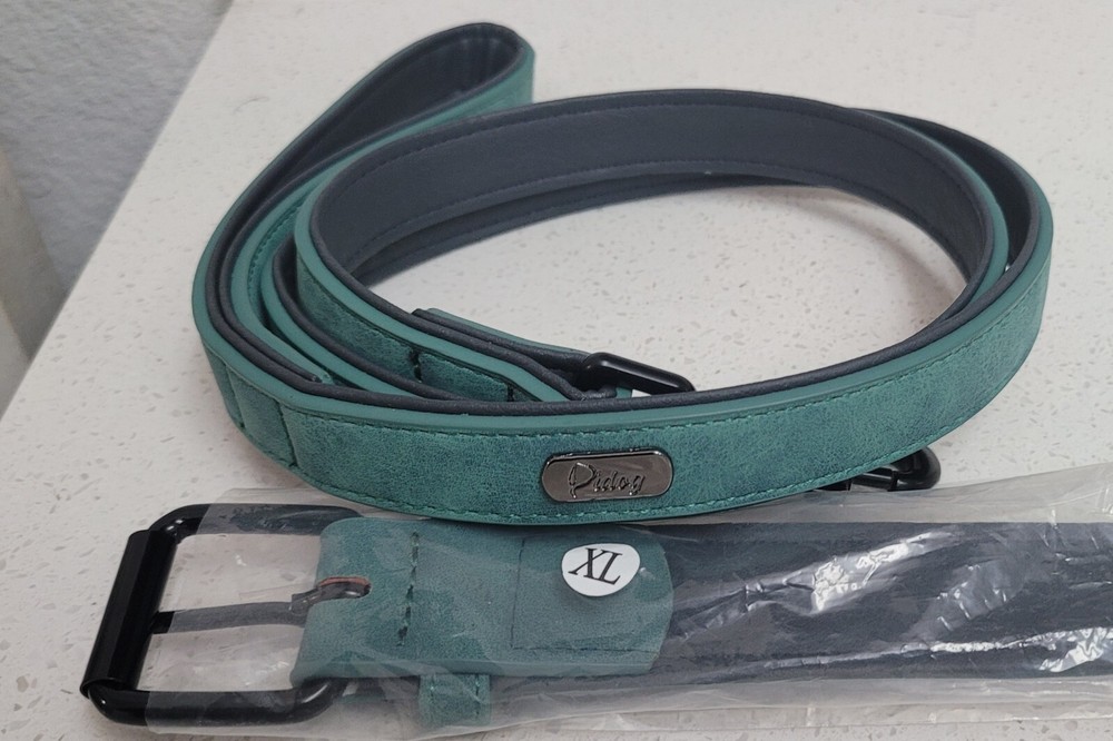 Leather Dog Collar and Leash Set Personalized Custom Name Buckle Soft Padded XS