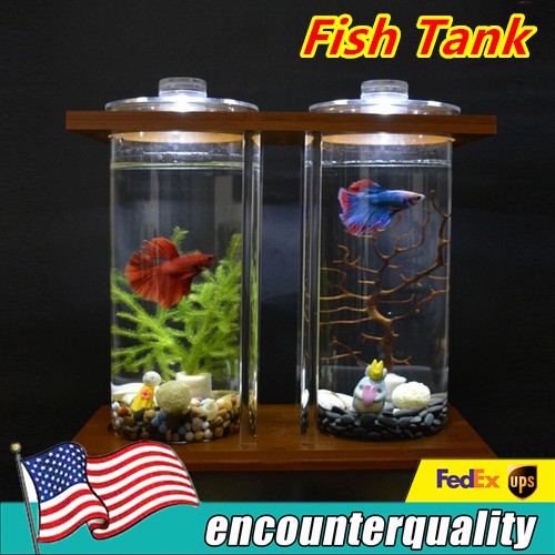 Dual Glass Betta Fish Tank with LED Light for Home or Office Desk