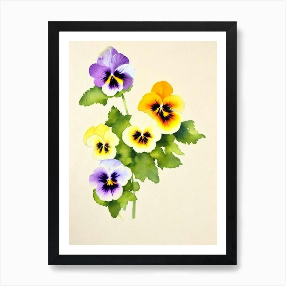 Vintage Pansy Floral Framed Wall Art Canvas Print Poster  
