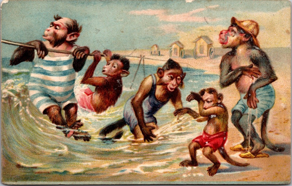 Vintage Artist Postcard Dressed Monkey Family Playing in the Ocean c. 1911