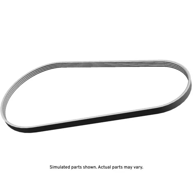 Genuine GM Air Conditioning Compressor Belt 12731925