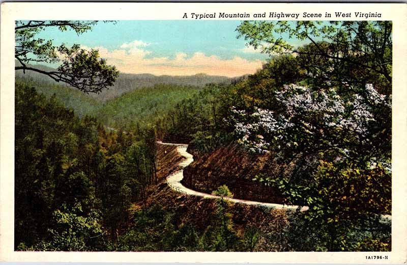 Postcard HIGHWAY SCENE State Of Virginia VA 11/8 AO6888