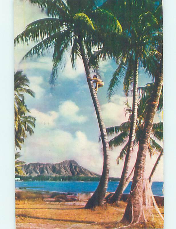 1950s Waikiki Beach Scene Honolulu Hawaii HI Vintage Postcard AE9423