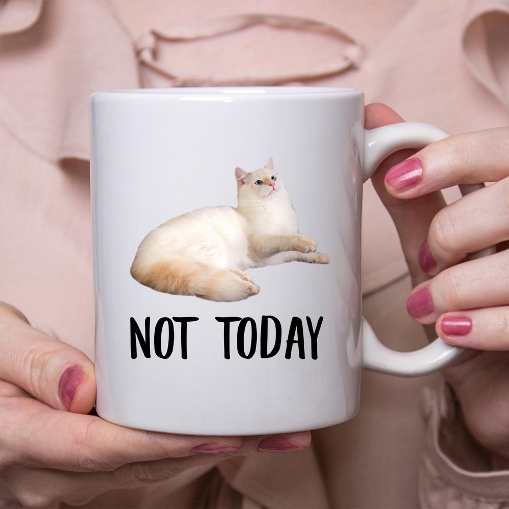 Funny Siamese Cat Red Point Not Today Cat Mug Lazy Gift For Cats Lovers Coffee