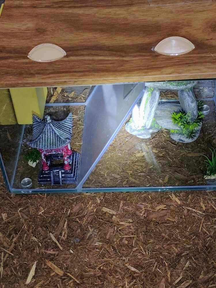 aquarium 14 gallon ( Split Tank )(Glass) W/ Accessories & Pump Holds Water