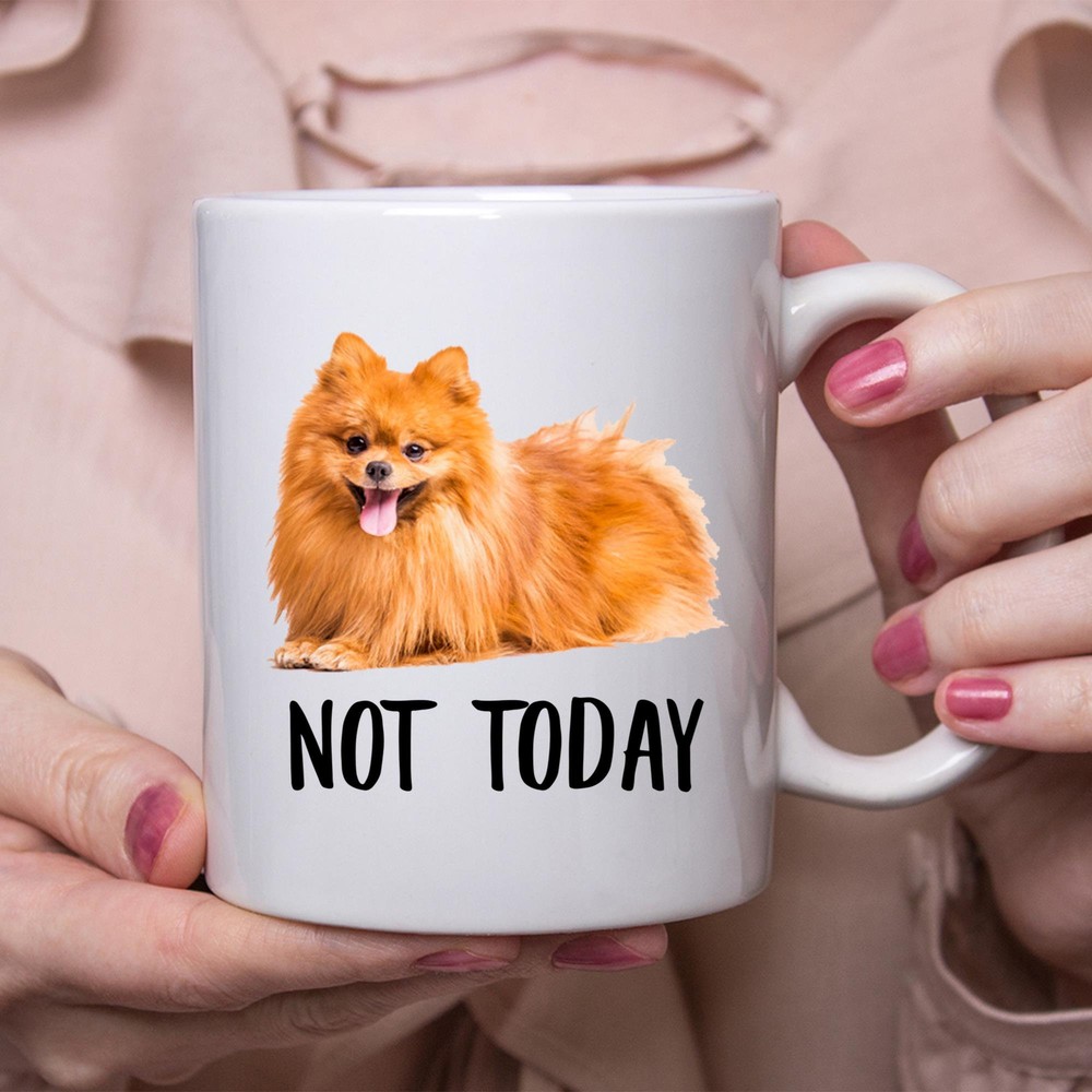 Funny Pomeranian Red Not Today Dog Mug Lazy Gift For Women Dogs Mom Coffee Mug