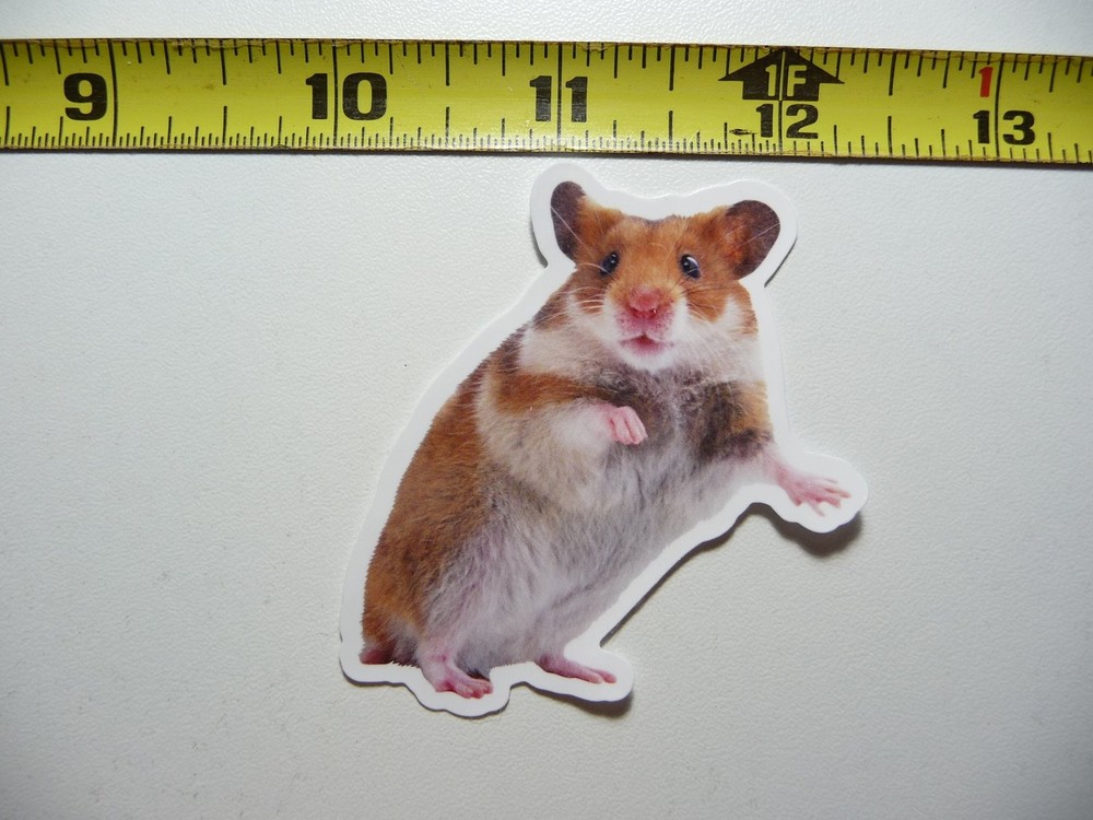 PET GOLDEN HAMSTER STICKER DECAL WILDLIFE PRESERVE NATURE ANIMAL
