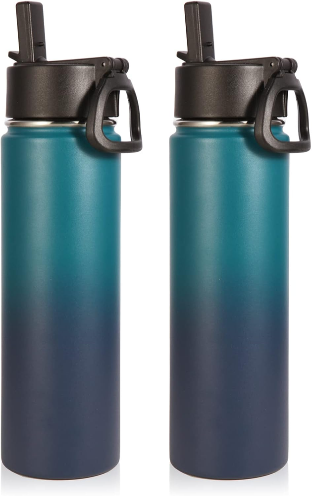 Insulated Water Bottles with Straw Bulk 2 Pack, 22 Oz Stainless Steel Sports Bot