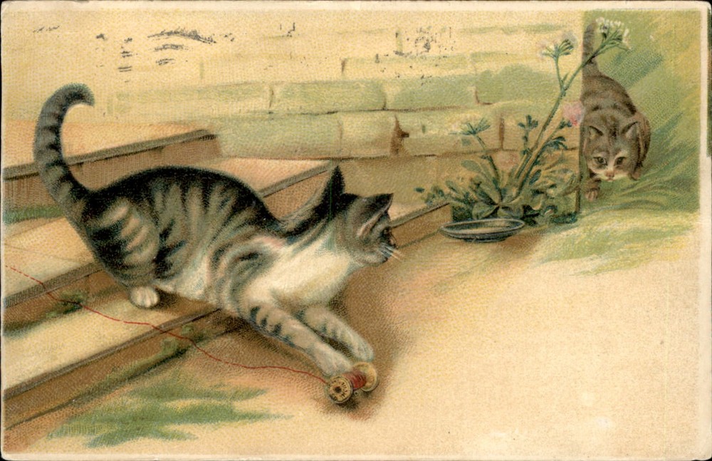 Playful Kittens Cats Thread Spool Milk Saucer Embossed c1909 Vintage Postcard