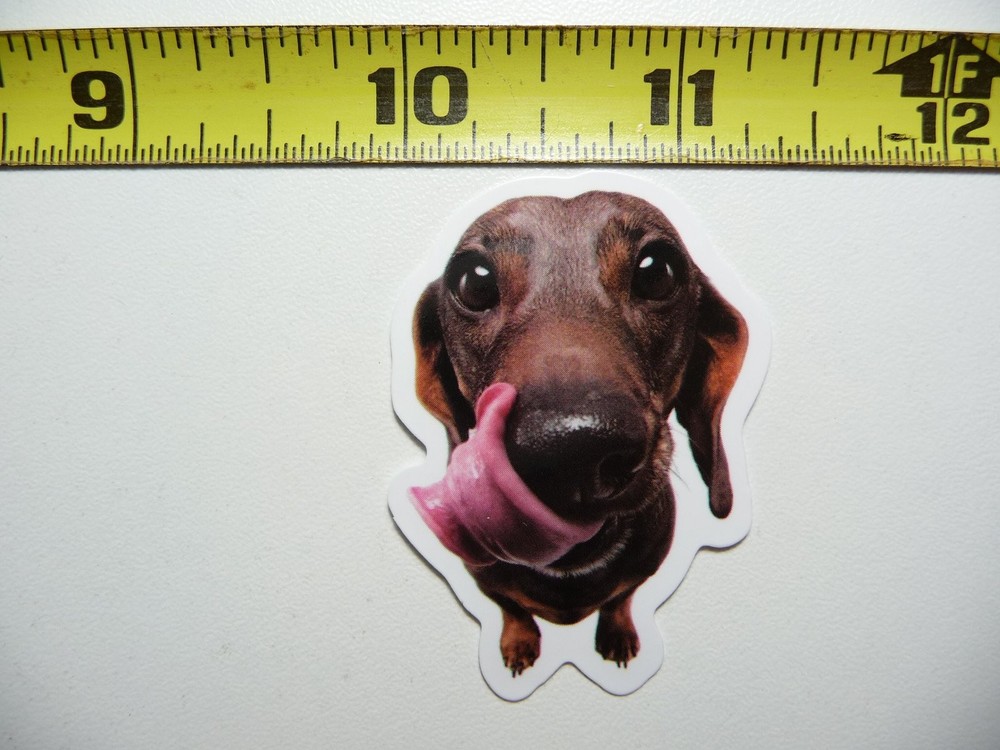 Fun Dachshund Licking Lips Sticker - Cute Pet Dog Puppy Decal