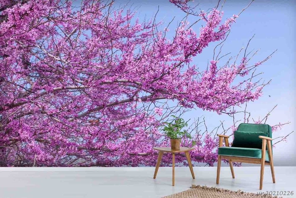 3D Cherry Blossom Plant Close-up Wall Murals Wallpaper Murals Wall Sticker