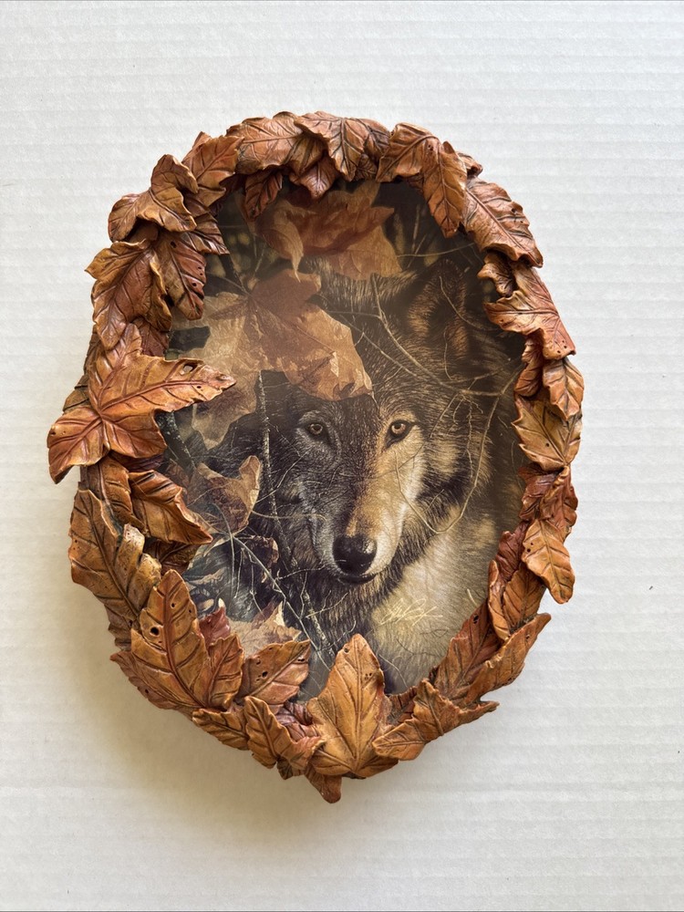 Eyes of Autumn Season of the Wolf Plate by Bradford Exchange Collin Bogle with COA