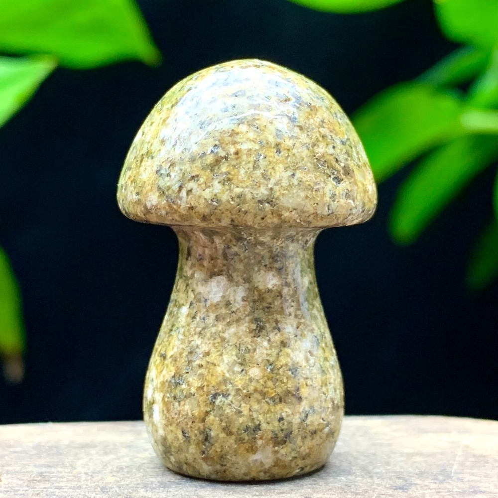 21G  Natural Crystal Beautiful Carving Mushroom Healing Decoration Gift