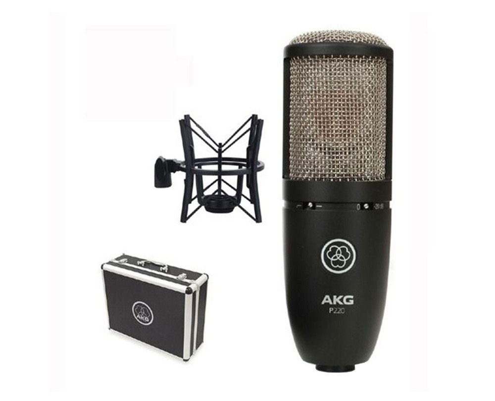 AKG P220 Professional Studio Condenser Microphone with Large Diaphragm