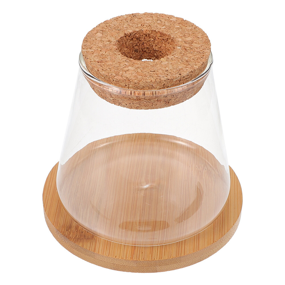 Mini Glass Betta Fish Tank with Lid – Desktop Aquarium Terrarium for Home or Office