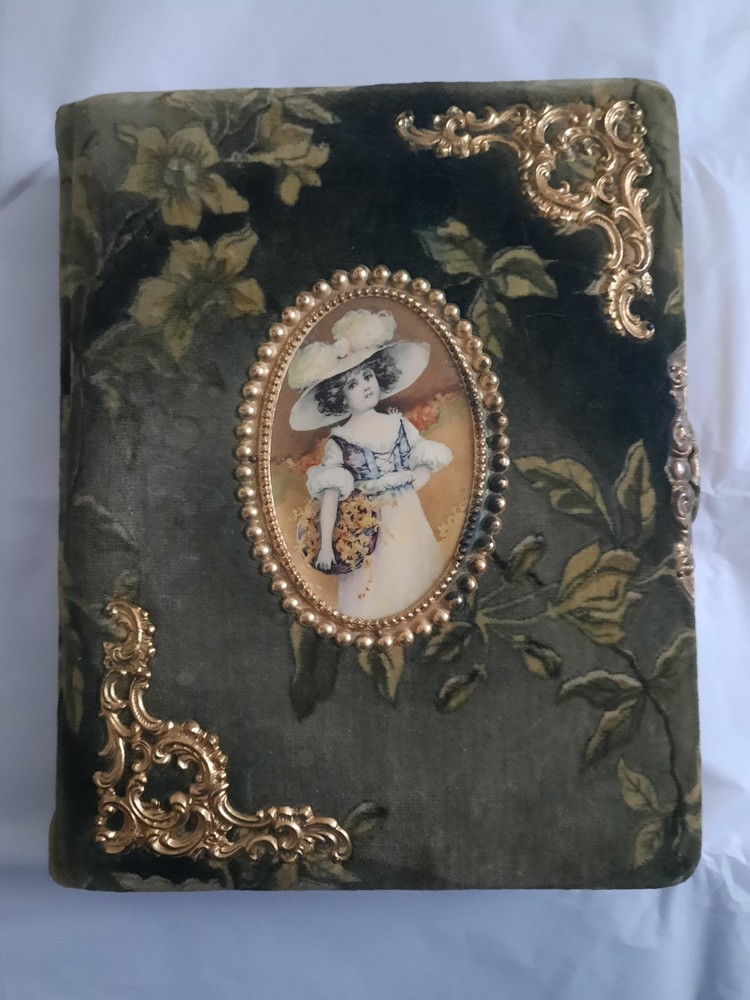 Antique Victorian Celluloid & Velvet Photo Album