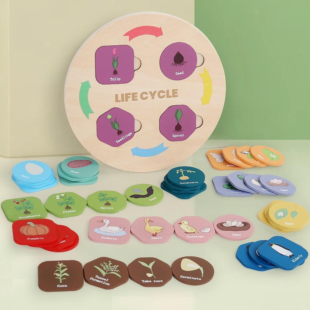 Life Cycle Learning Science Kit for Toddlers Ages 2-6  