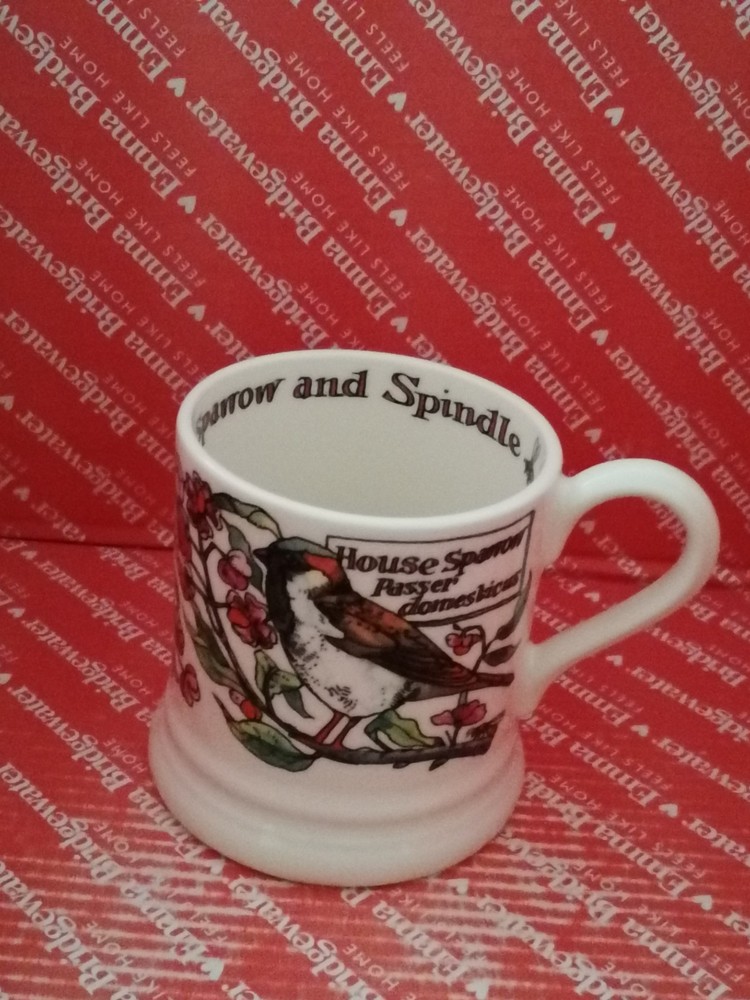 Emma bridgewater Birds in the Hedgerow Rosehip Half Pint Mug 1st Quality New