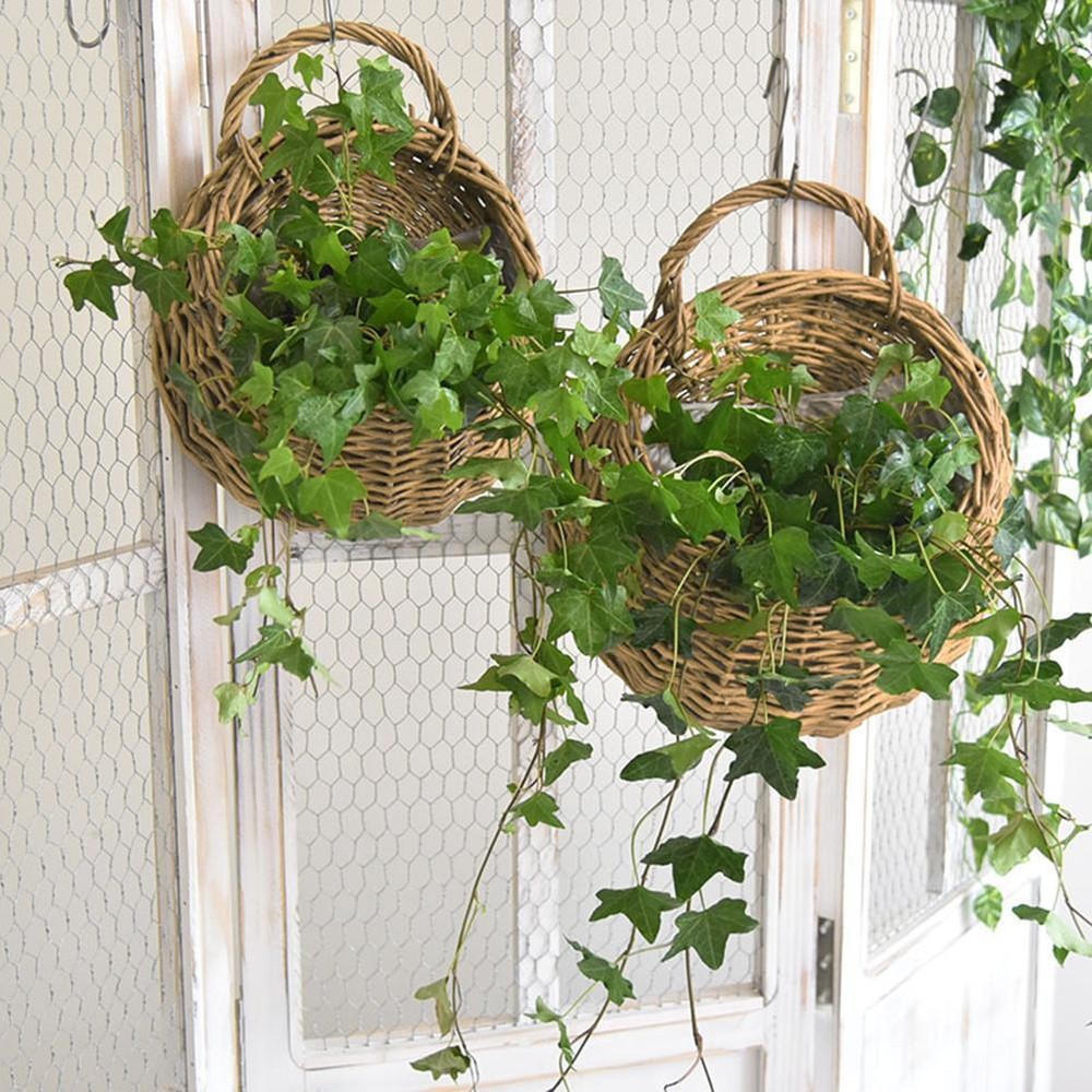 Wall Mount Wicker Flower Pot Hanging Woven Rattan Vase Basket Garden Decor