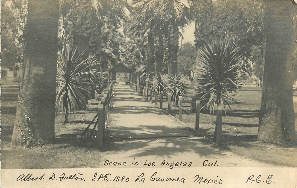 Postcard RPPC C-1905 California Los Angeles Scene CA24-1574
