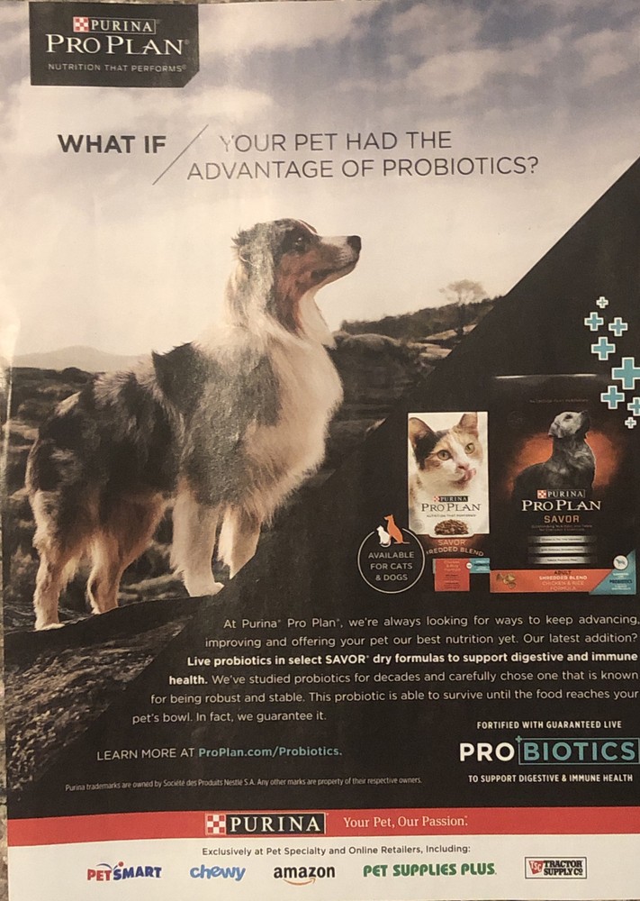 PRINT AD 2019 Purina Pro Plan Pet Food Cat Dog Collie w Probiotics Advertisement