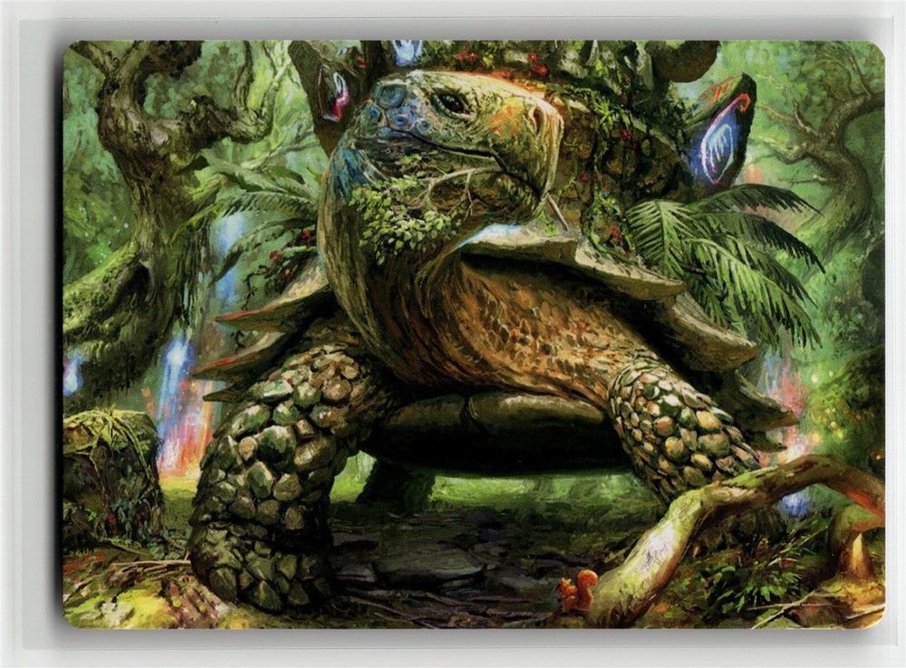 BLOSSOMING TORTOISE ART CARD Wilds of Eldraine #24 AWOE(NM+)(MTG)