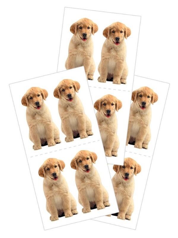Golden Retriever Puppy Stickers Planner Party Supply Papercraft Pet Friends