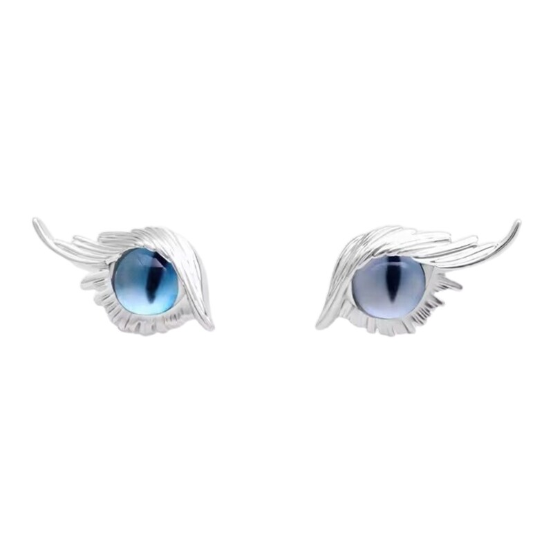 Cat Eye Hip-Hop Street Earrings for Women Birthday Gift All-Match