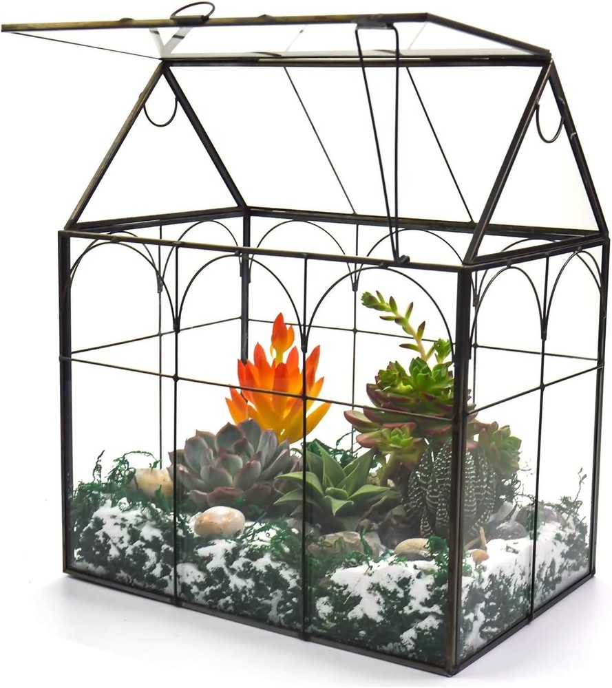Large Tall Plant Greenhouse Terrarium Glass with Lid, 8.7