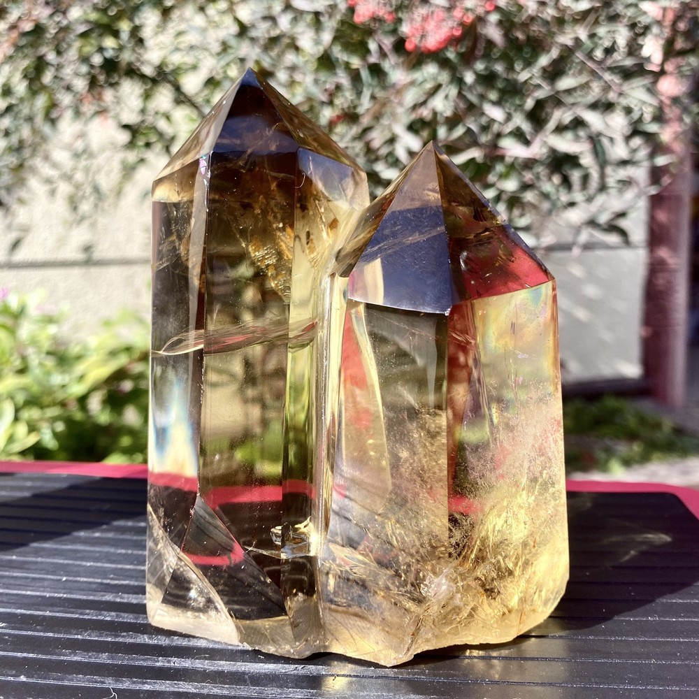 1.78LB Natural Citrine backbone cluster mineral specimen quartz crystal healing