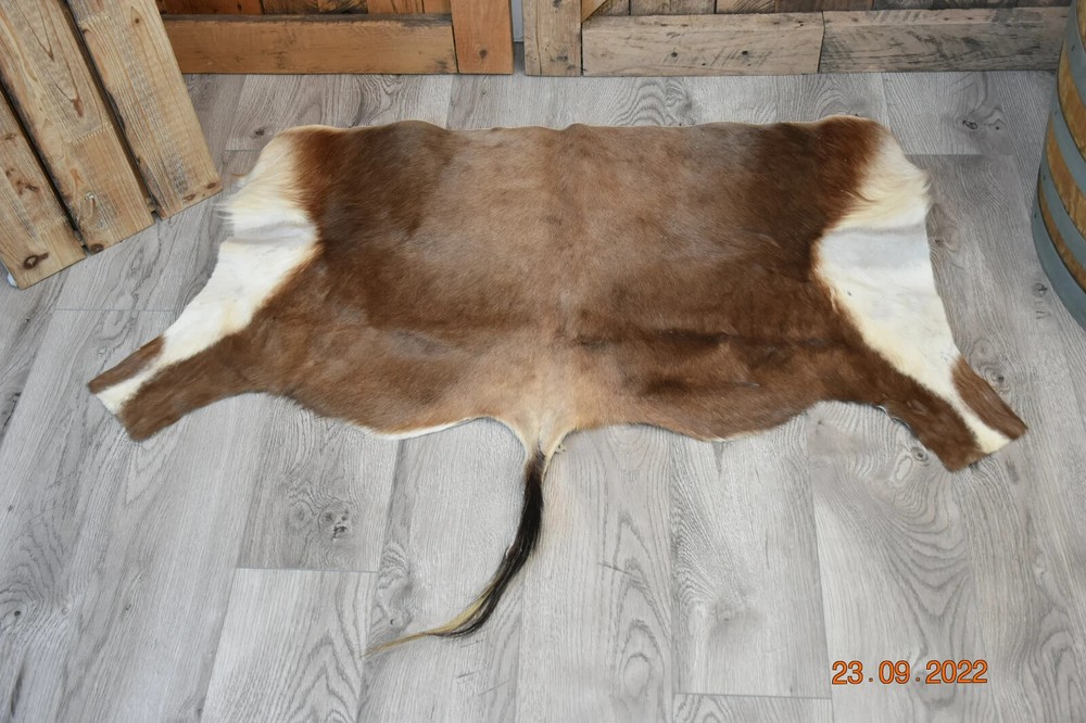 Deer Blesbok Antelope Skin S-2 44