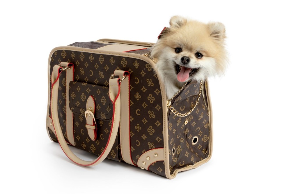 Daily Dog carrier Travel Tote Pet Bag  - Broadway