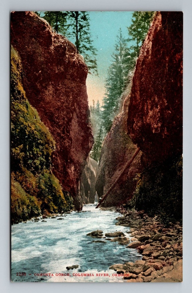 Columbia River Oneonta Gorge Oregon Scenic View Vintage Postcard