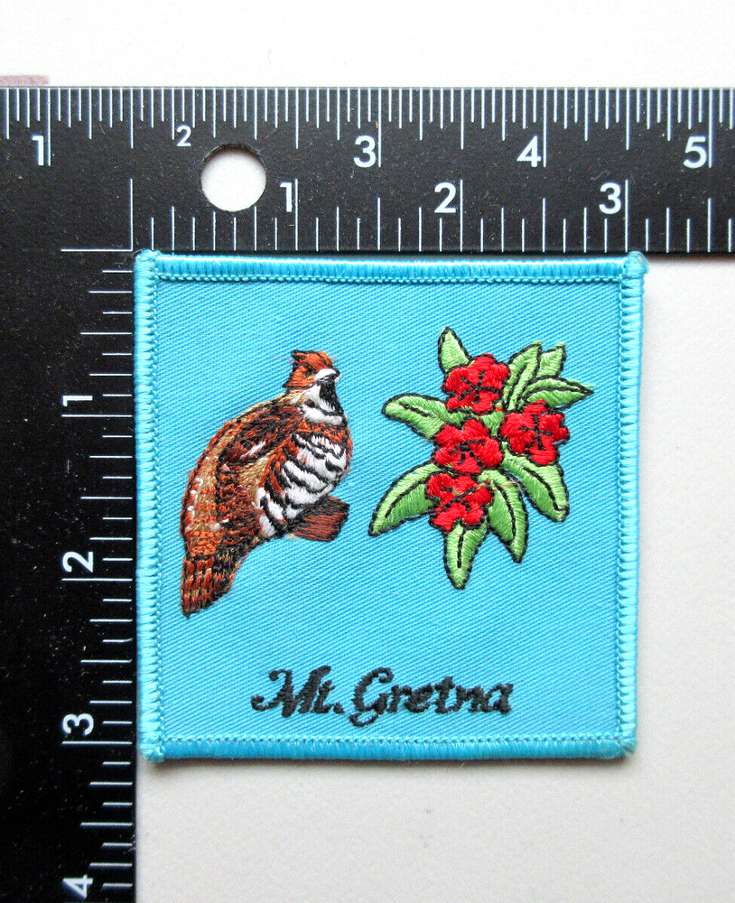 VINTAGE MOUNT GRETNA PENNSYLVANIA SOUVENIR & TRAVEL COLLECTIBLE PATCH