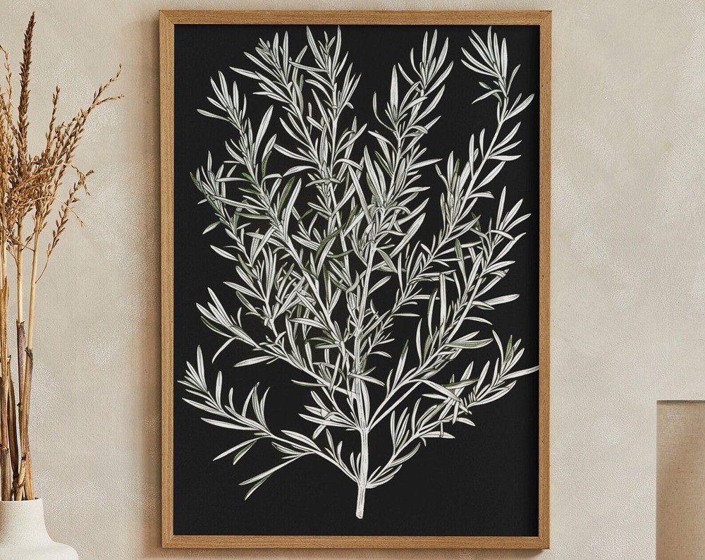 Rosemary Illustration Pencil Drawing Print Botanical Poster Print At Home Wall