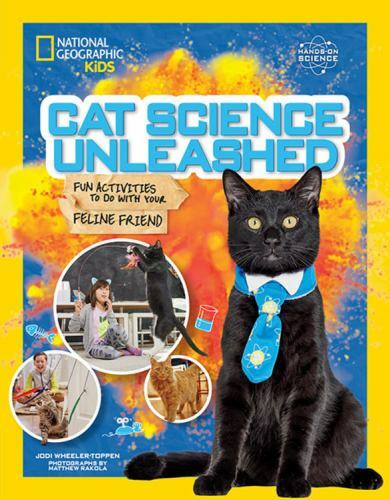 Fun cat science activities to try with your feline