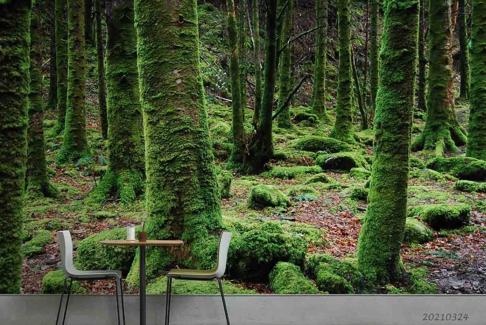 3D Forest Plants Landscape Wall Murals Wallpaper Murals Wall Sticker 2