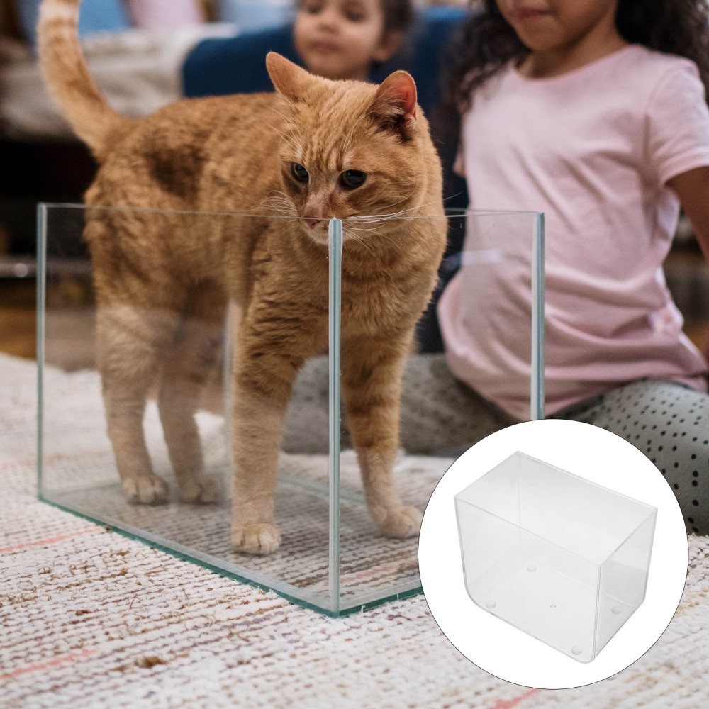 Clear Mini Tank for Goldfish, Guppies, and Turtles