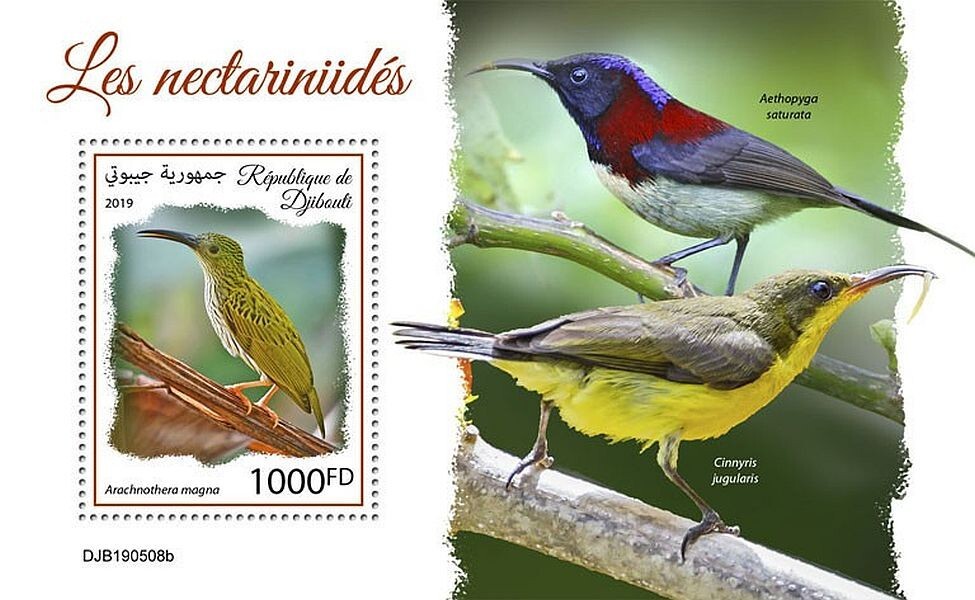SUNBIRDS 1-Value MNH Bird/Birds Stamp Sheet #168 (2019 Djibouti)