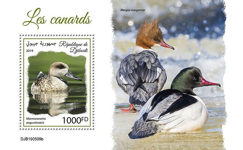 DUCKS Aquatic Water Birds 1-Value MNH Bird Stamp Sheet #170 (2019 Djibouti)