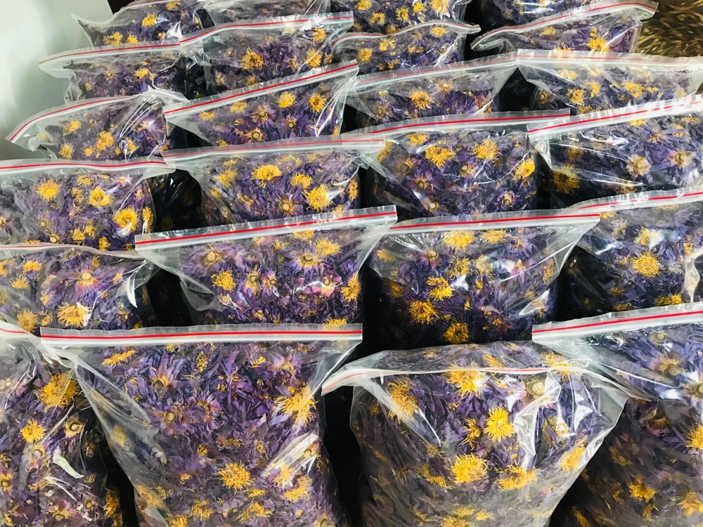 Dried BLUE LOTUS nymphaea caerulea Egyptian Organic Whole Flowers Herbal Tea