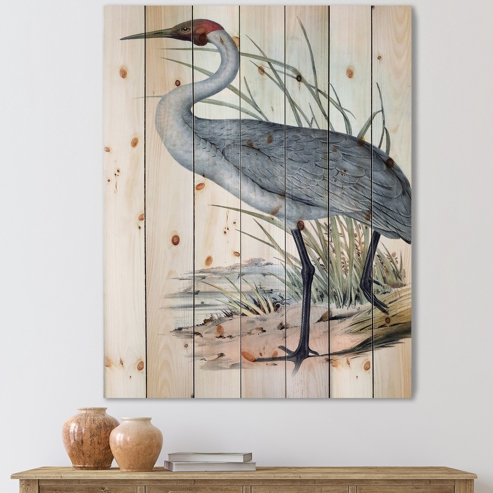 Designart 'Vintage Australian Birds V' Traditional Print on
