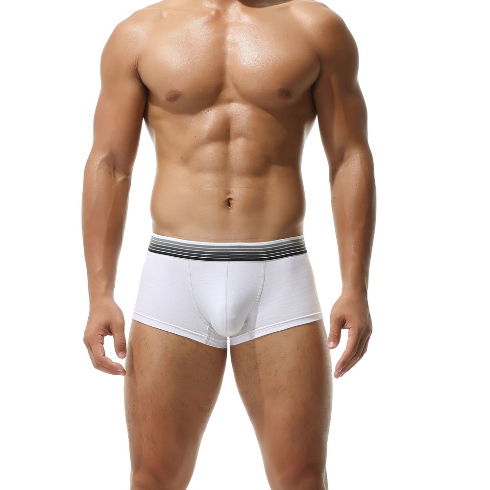 Men's panties low waist sexy fashion trend cotton thin boxer shorts