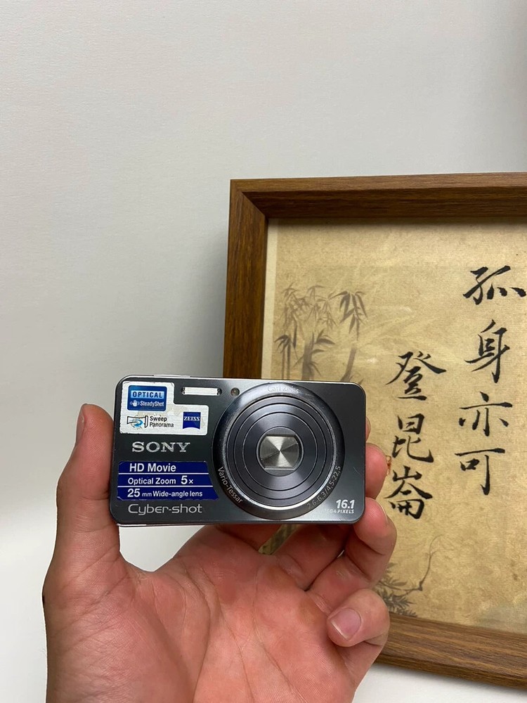 SONY Cyber-shot DSC-W570 16.1MP Digital Camera with 5x Optical Zoom in Black
