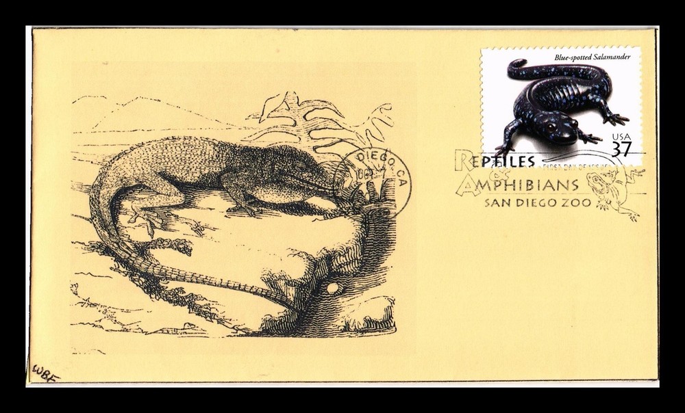 DR JIM STAMPS US FDC BLUE SPOTTED SALAMANDER REPTILES AMPHIBIANS COVER