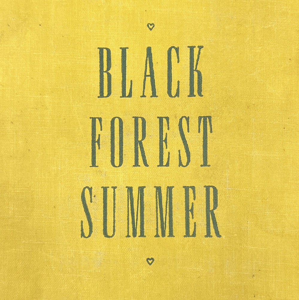 Black Forest Summer by Mabel Esther Allan (Hardcover) Second Printing