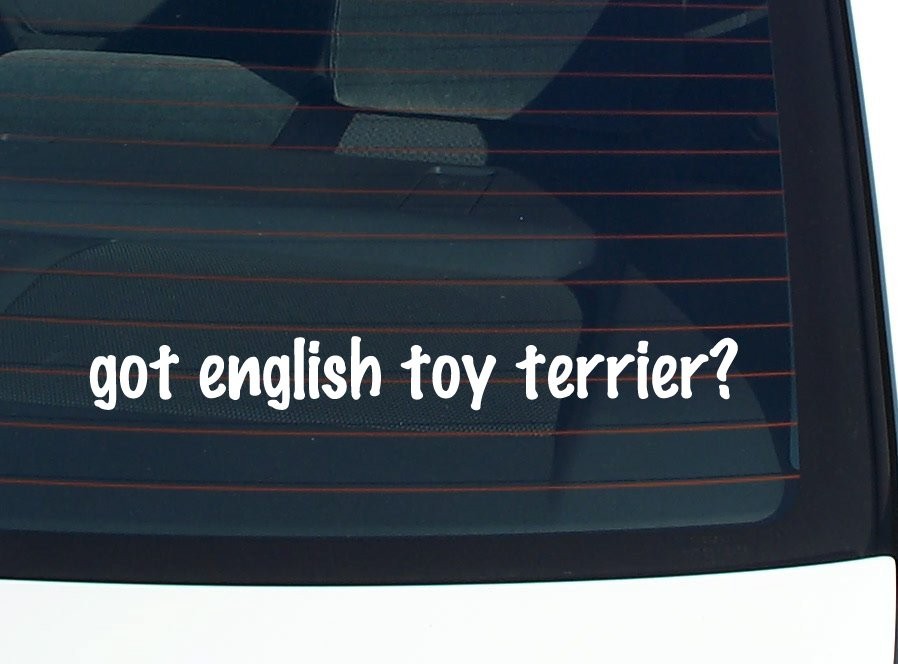 English Toy Terrier Lover Car Decal Bumper Sticker Vinyl Window