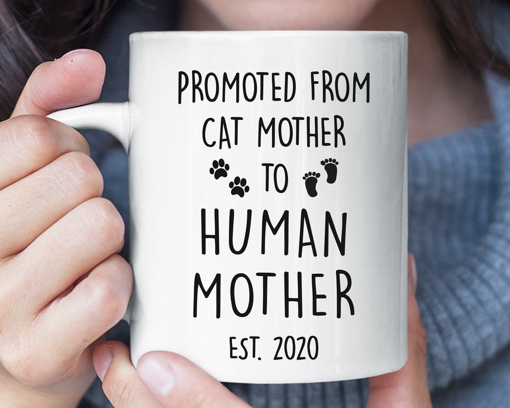 Promoted From Cat Mother To Human Mother Funny Mug Pregnancy Announcement Baby