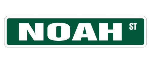 NOAH Kids Room Street Sign Indoor Outdoor Personalized 18-Inch Decor